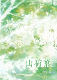 山荷叶-那些流逝的、放开的